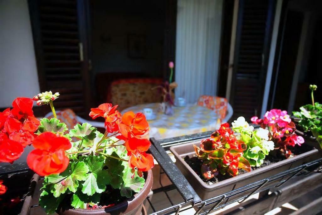 Leni Apartmán Pula